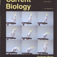 Current Biology