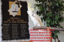 Snowball Sponsor Board