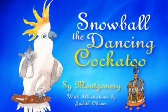 Snowball® Book
